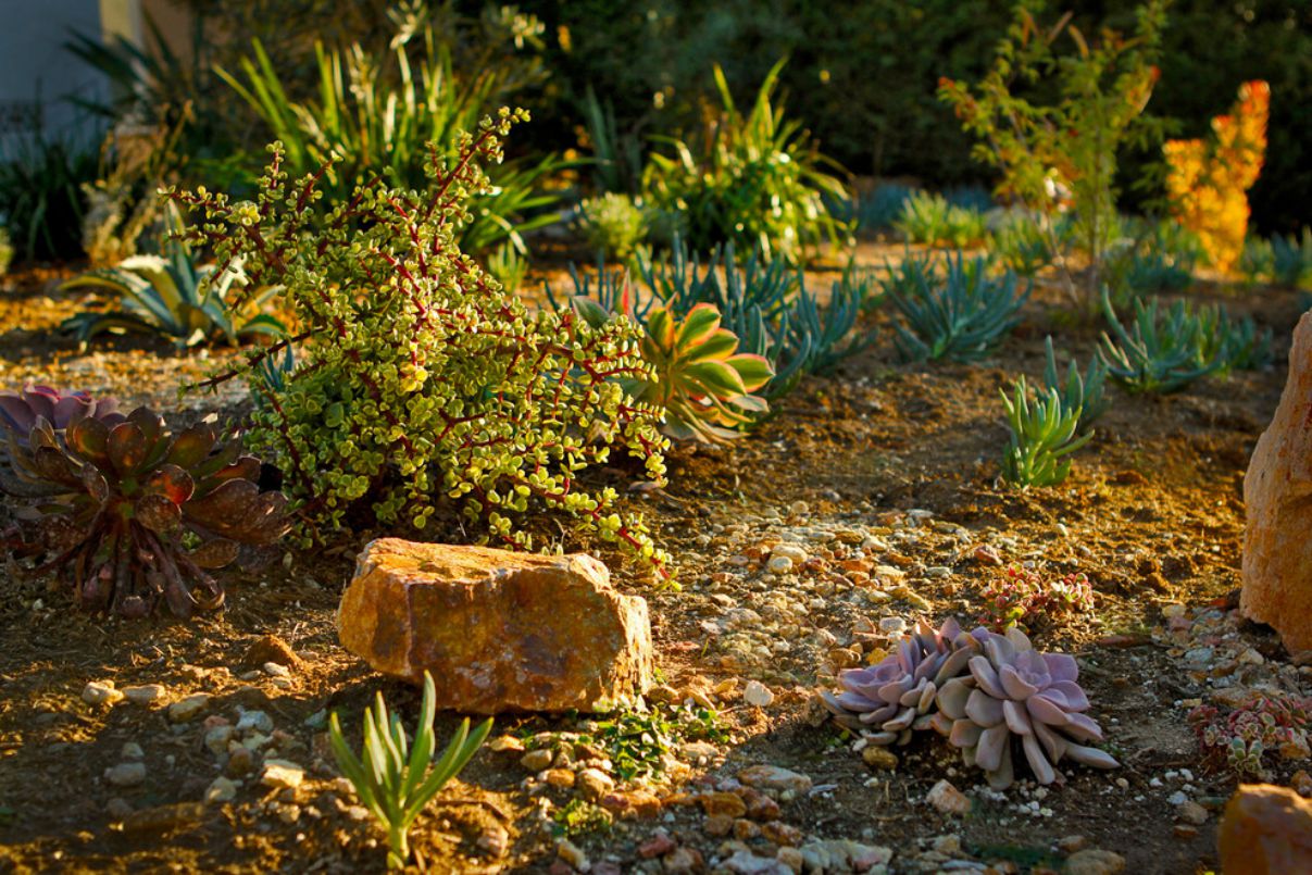 Colorful Landscape in Culver, California by Bosler Earth Design (10)