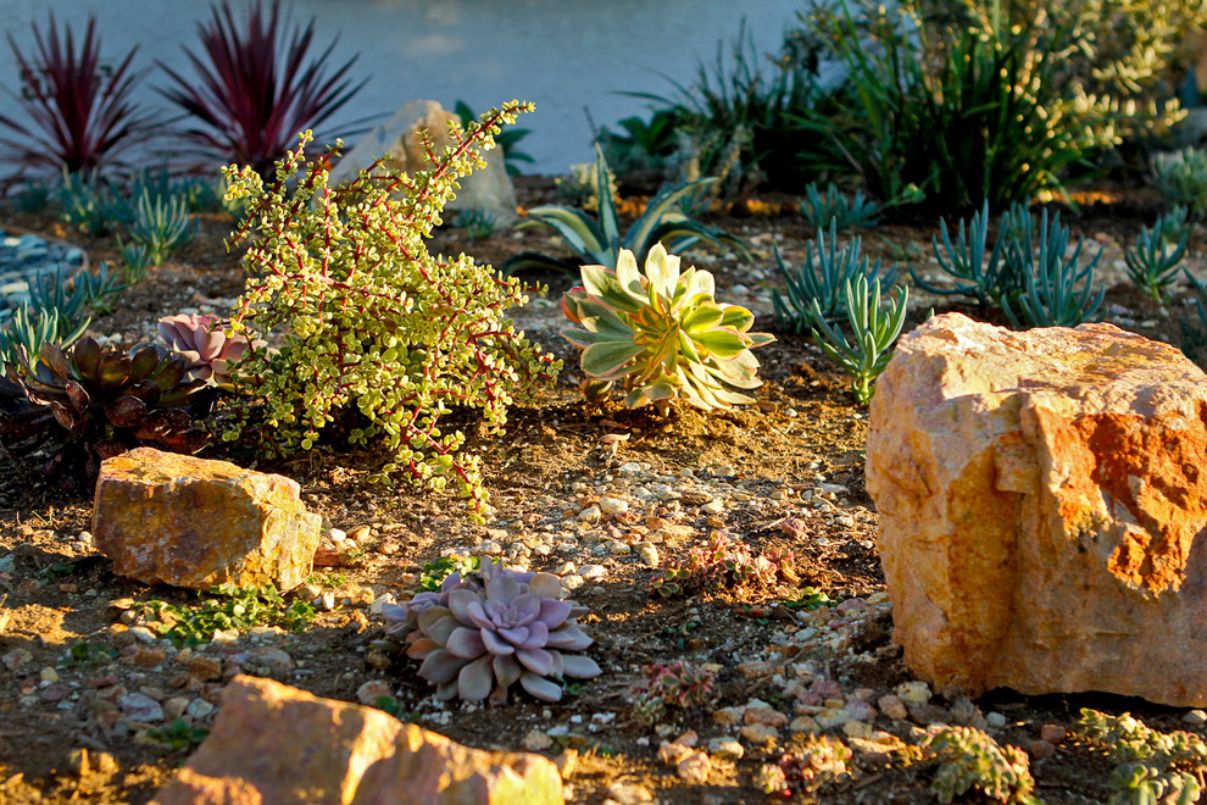 Colorful Landscape in Culver, California by Bosler Earth Design (12)