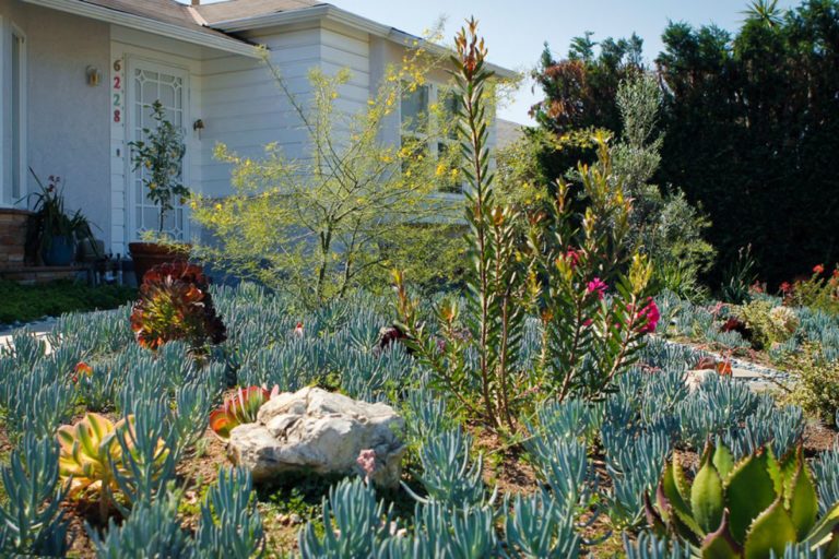 Colorful Landscape in Culver City, California by Bosler Earth Design