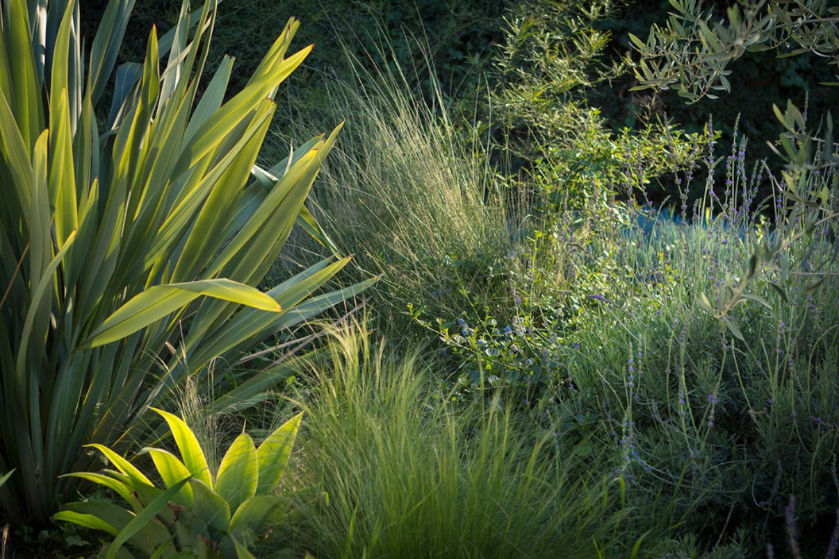 Colorful Landscape in Culver, California by Bosler Earth Design (3)