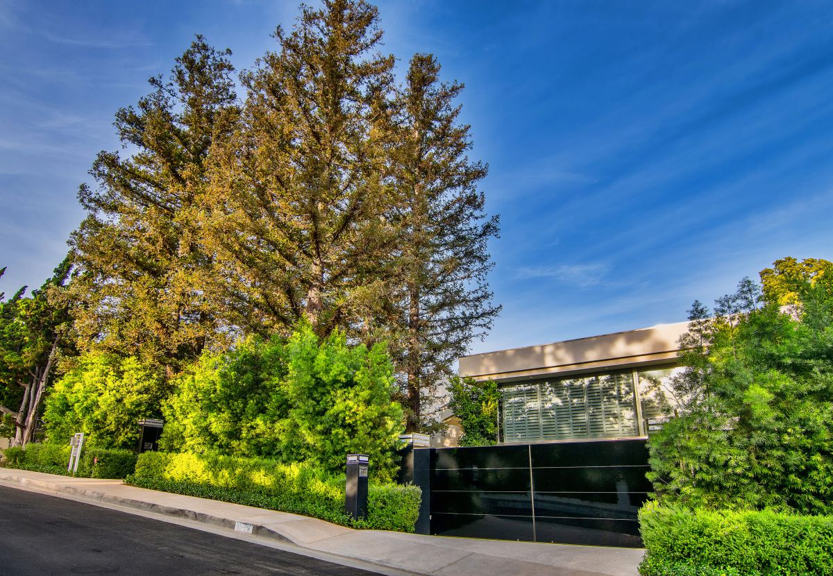 Exceptional-Beverly-Hills-Estate-1000-Elden-Way-25