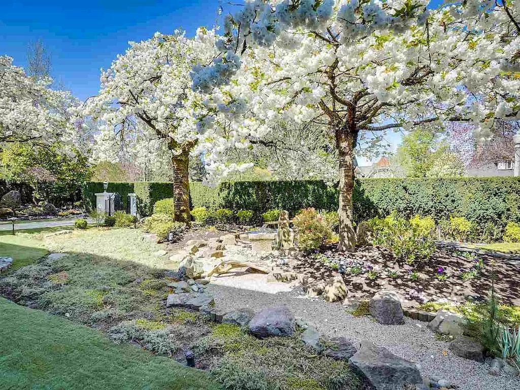 The Beautiful Cherry Blossoms House in Vancouver is a meticulously custom-built home now available for sale. This home is located at 1626 Avondale Ave, Vancouver, BC V6M 1S1, Canada