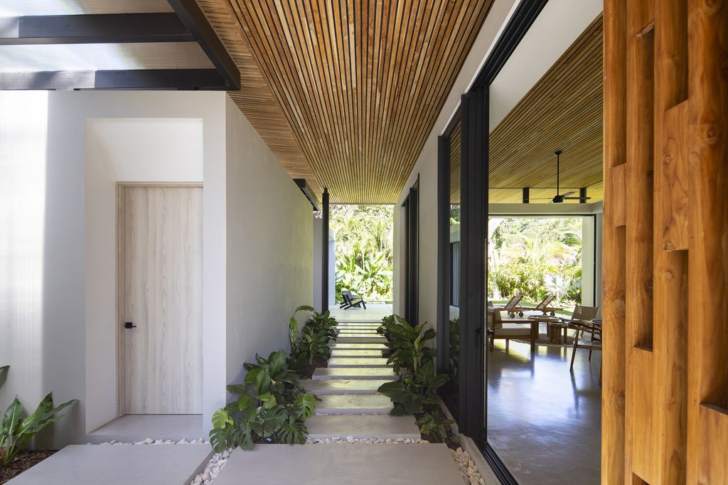 Naia House with teak roof, opens up Costa Rican rainforest by Studio Saxe