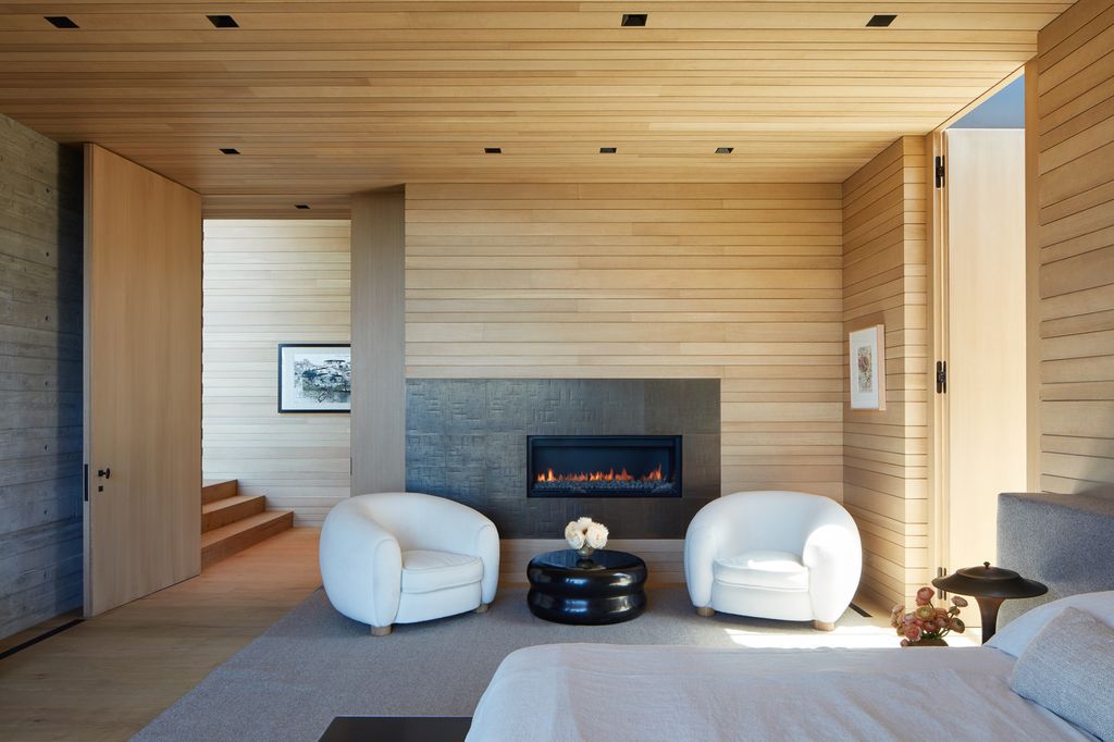 Sapire Residence, Hillside house for Healthy living by Abramson Architects