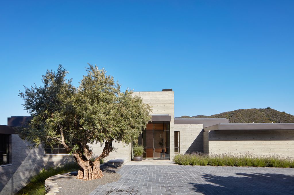 Sapire Residence, Hillside house for Healthy living by Abramson Architects