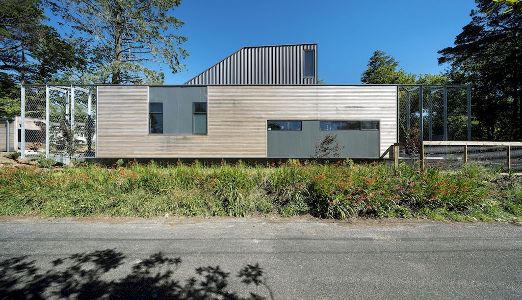 Blackheath courtyard house with prominent facade by Pearson Architecture