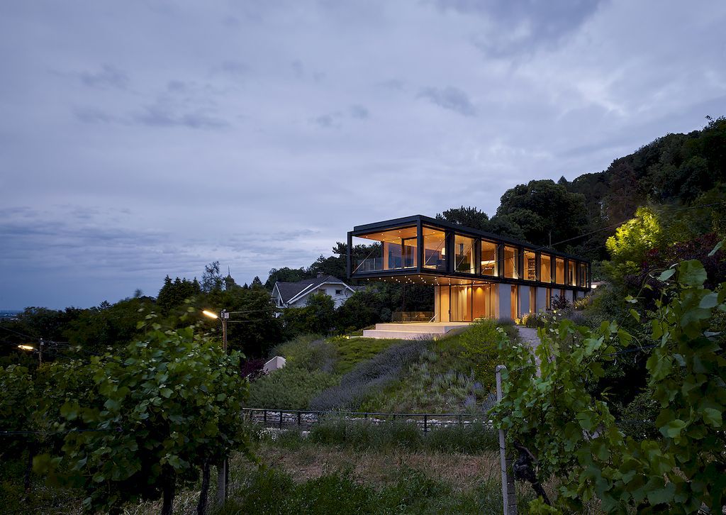 House-in-the-Vineyards-by-Dietrich-Untertrifaller-Alexander-Janowsky-18
