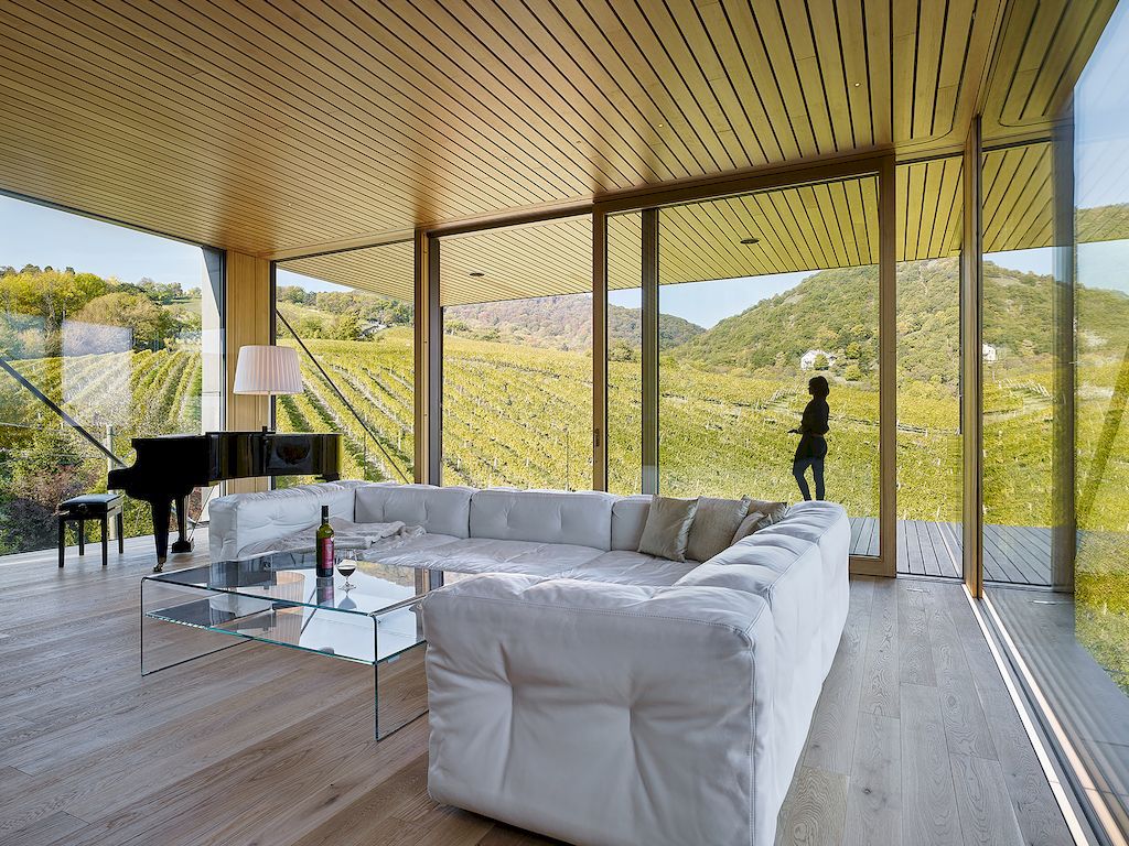 House-in-the-Vineyards-by-Dietrich-Untertrifaller-Alexander-Janowsky-4