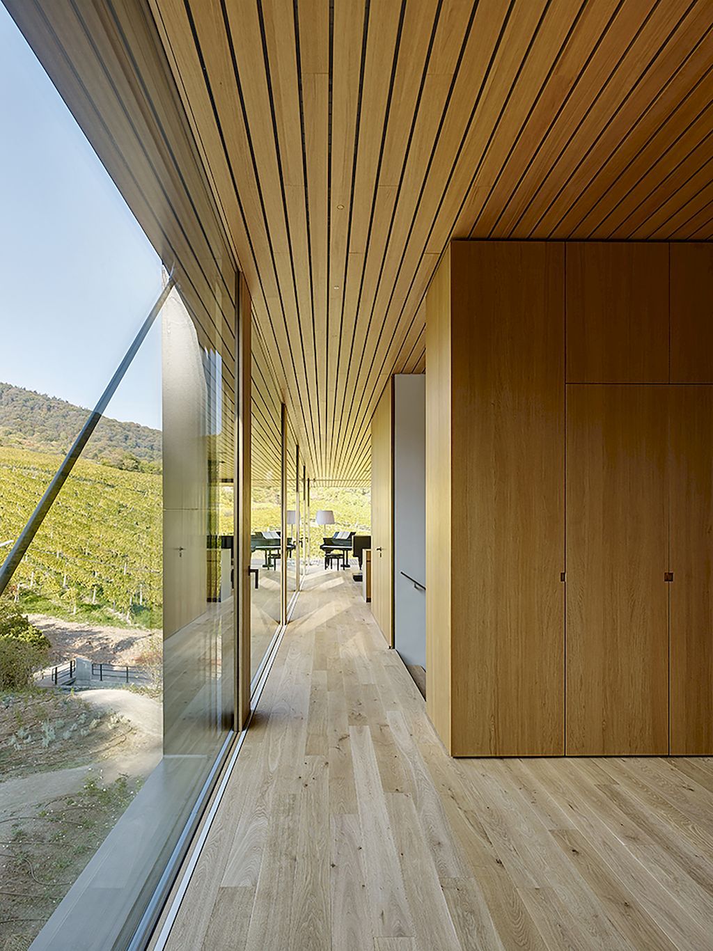 House in the Vineyards by Dietrich Untertrifaller & Alexander Janowsky