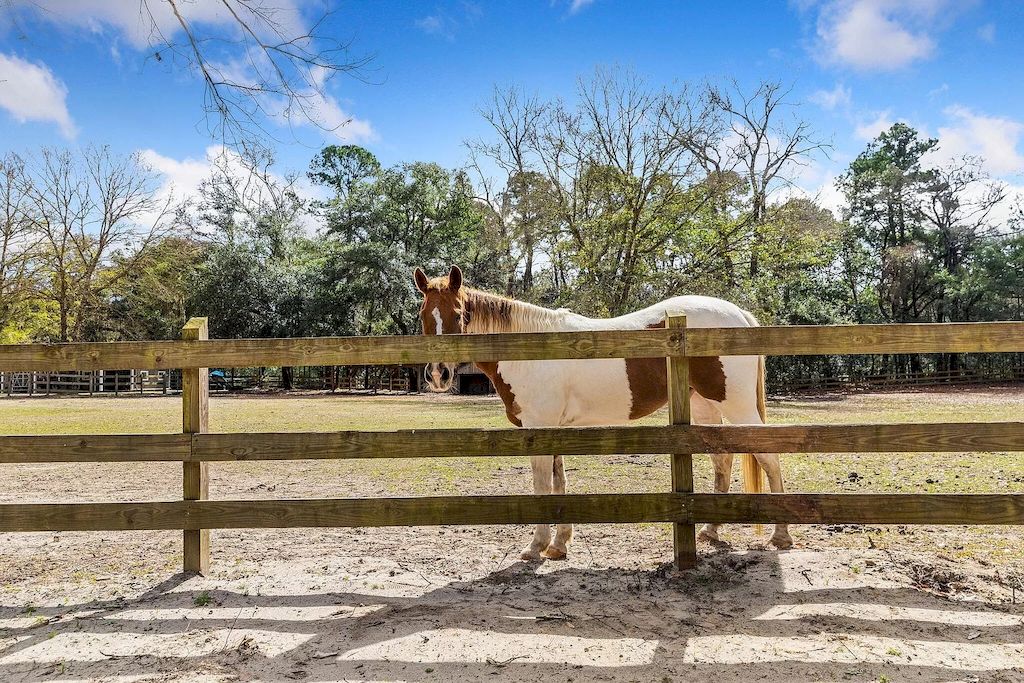 High-end-Custom-Built-Home-with-Breathtaking-Water-Views-in-South-Carolina-on-Market-for-8500000-33