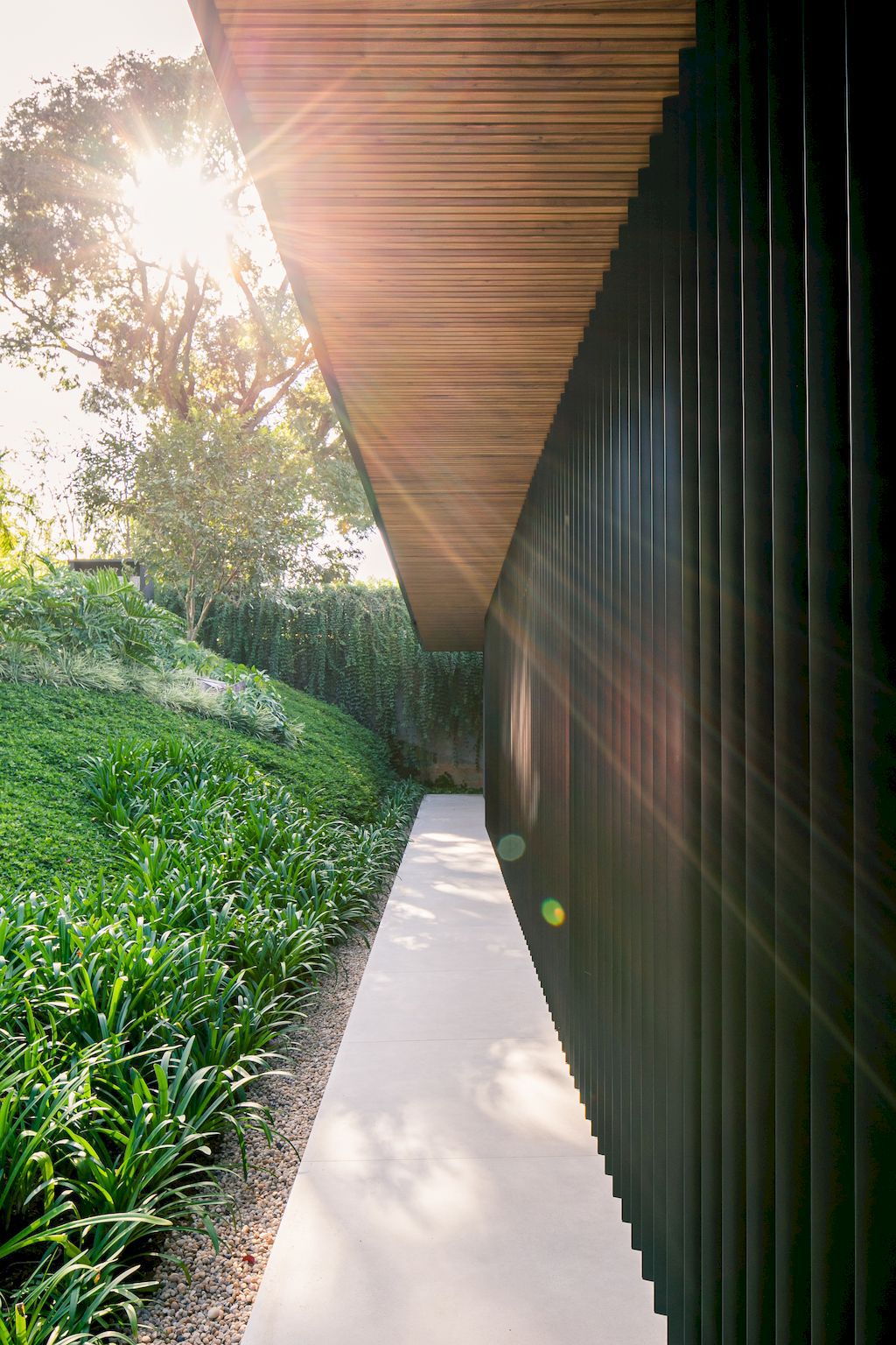 BM Residence Approaches Nature by Belluzzo Martinhao Arquitetos