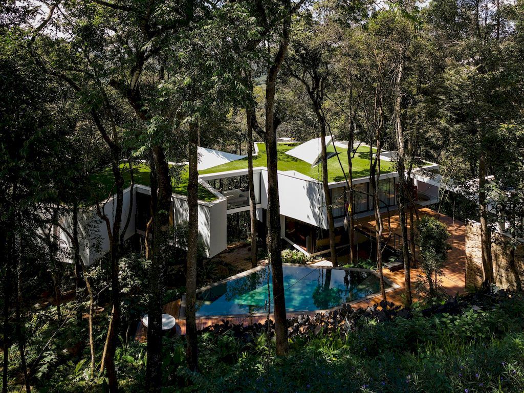 Açucena House Immersed in Lush Atlantic Rainforest by Tetro Arquitetura