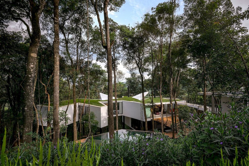 Açucena House Immersed in Lush Atlantic Rainforest by Tetro Arquitetura