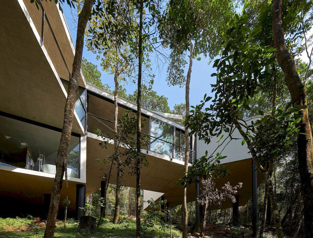 Açucena House Immersed in Lush Atlantic Rainforest by Tetro Arquitetura