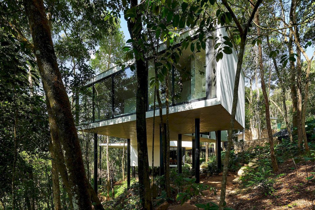 Açucena House Immersed in Lush Atlantic Rainforest by Tetro Arquitetura