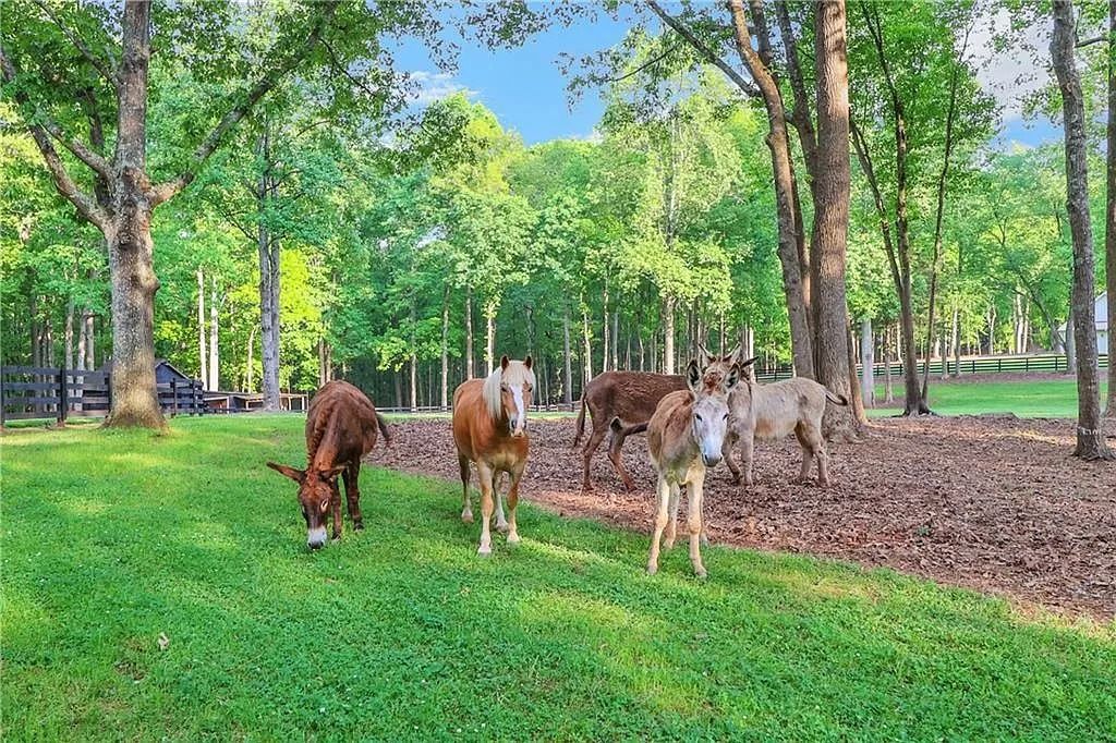 The Estate in Canton is a luxurious home perfectly situated on 13.20 manicured acres with spacious floor plan and expansive outdoor - indoor living spaces now available for sale. This home located at 2455 Lower Birmingham Rd, Canton, Georgia; offering 07 bedrooms and 08 bathrooms with 8,700 square feet of living spaces. 