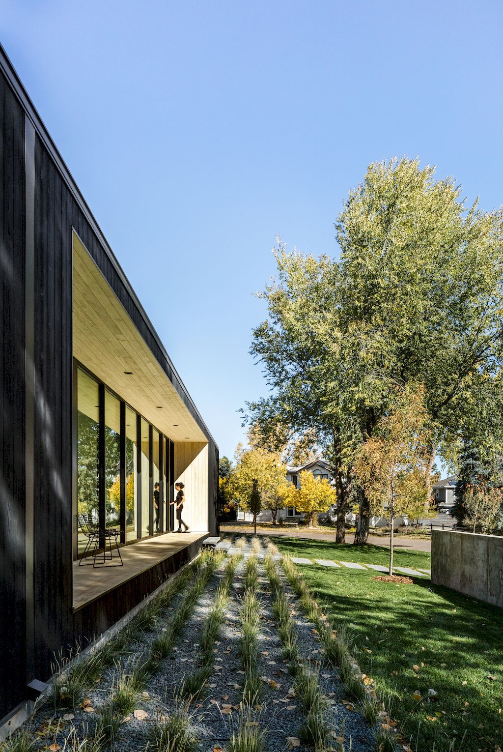 Vista Drive Pavilion House in Colorado by Studio B Architecture + Interiors