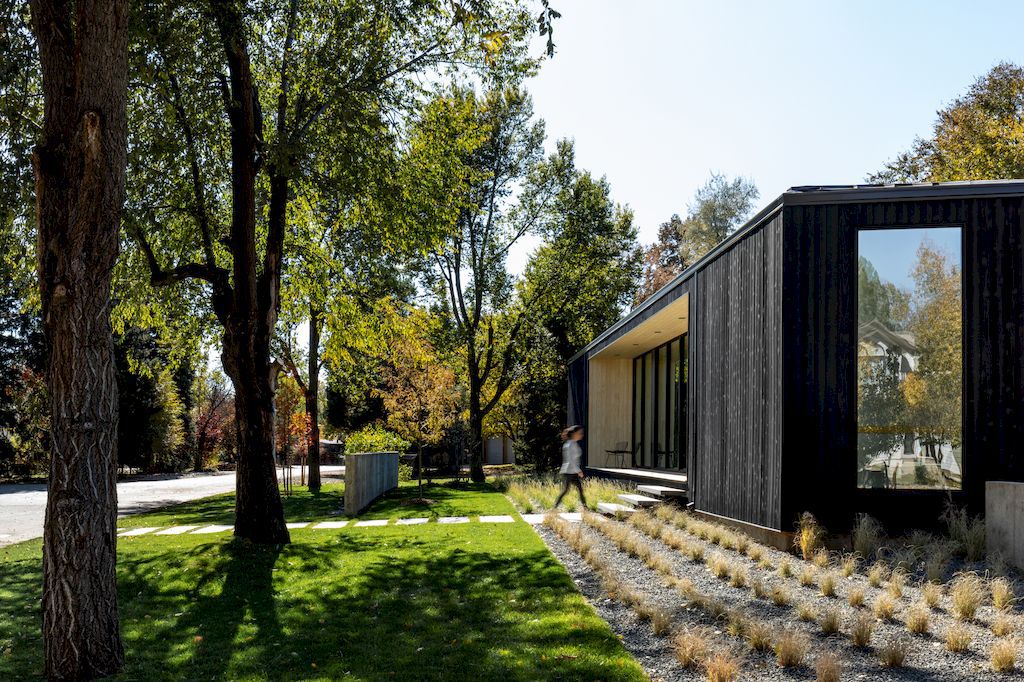 Vista Drive Pavilion House in Colorado by Studio B Architecture + Interiors