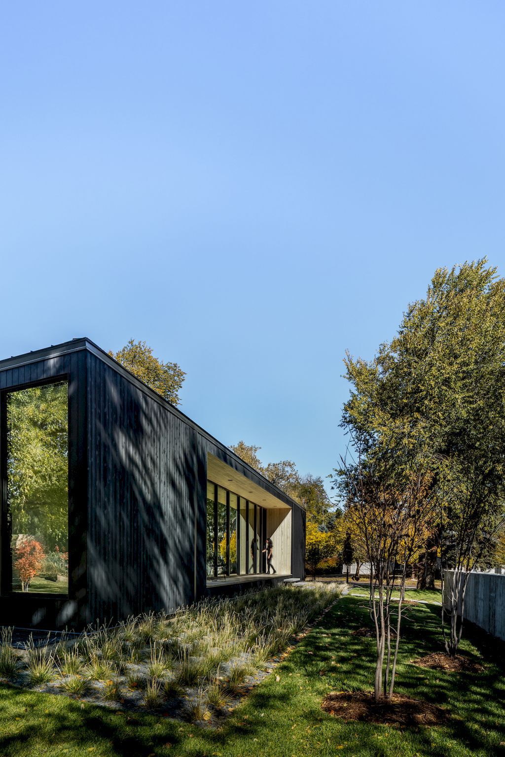 Vista Drive Pavilion House in Colorado by Studio B Architecture + Interiors