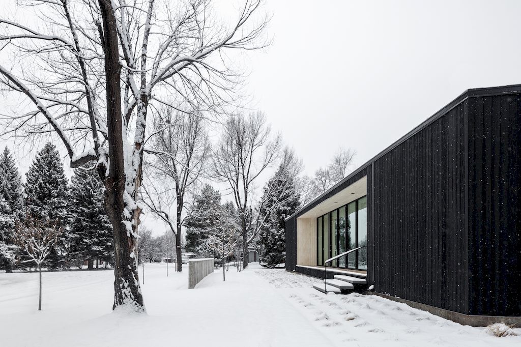 Vista Drive Pavilion House in Colorado by Studio B Architecture + Interiors