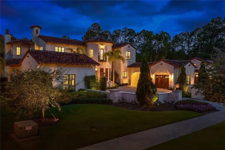 This Exquisite Modern Mediterranean Estate in Orlando has A Beautiful ...