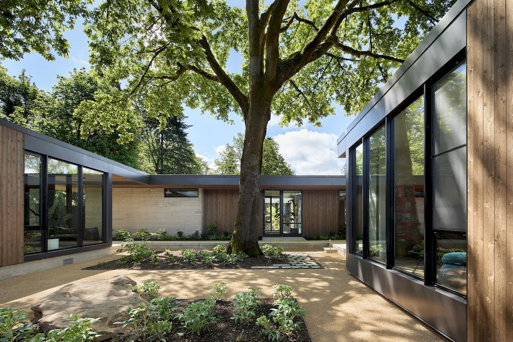 Heartwood Residence clad in glass & wood by William Kaven Architecture