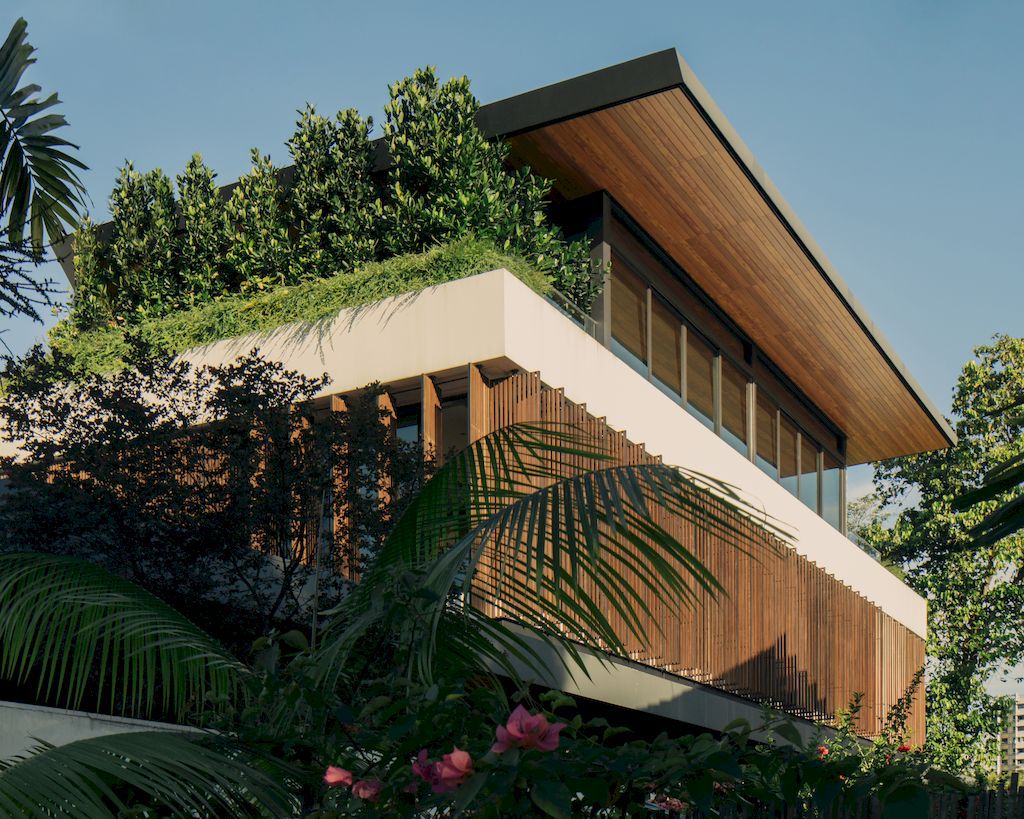 Second Nature House in Singapore by Wallflower Architecture + Design