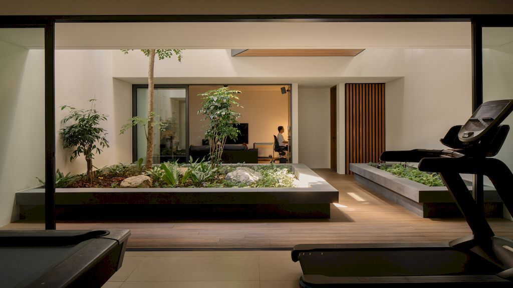 Second Nature House in Singapore by Wallflower Architecture + Design