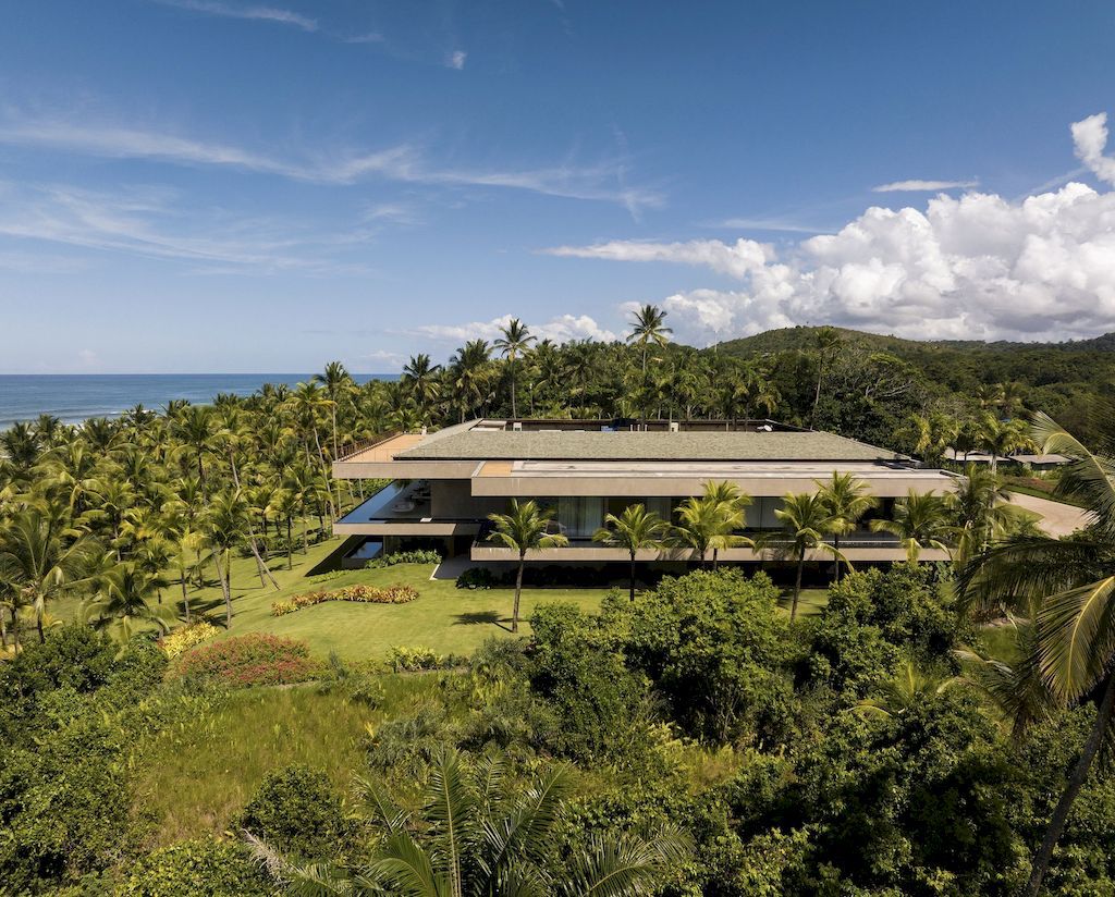 01 TVN House, Disguised among the Vegetation  Saraiva e Associados