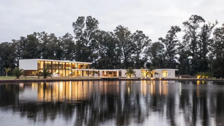 Polo House by OON Architecture, Transparency, Geometry, and Landscape in Harmony