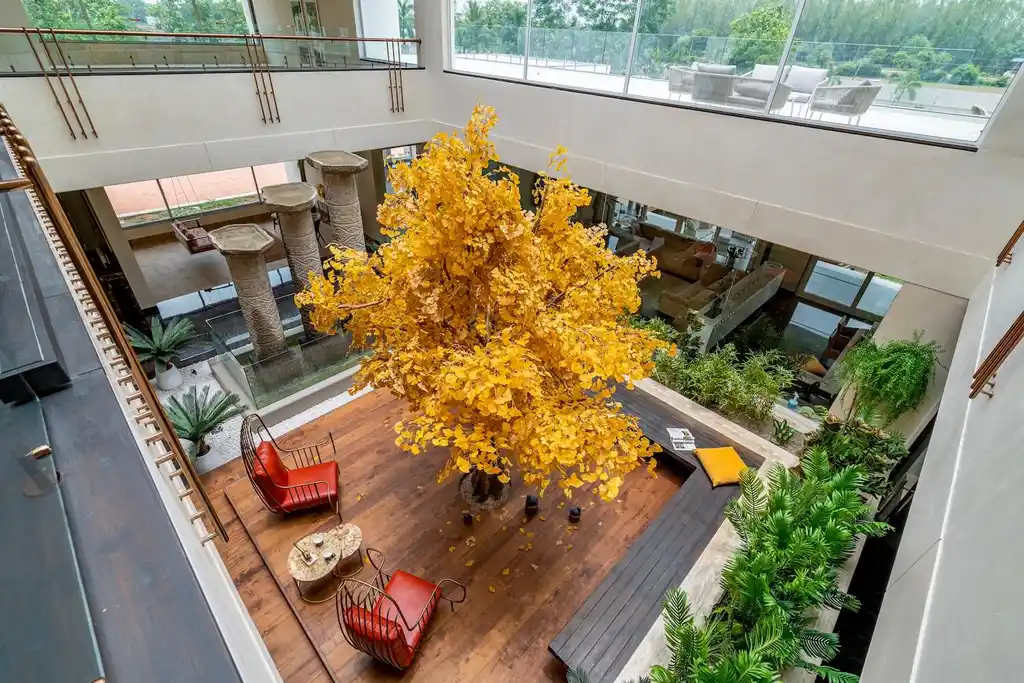 Sri Sri Villa by Ace Associates A Vastu Inspired Sanctuary Surrounded by Nature in Gujarat 10